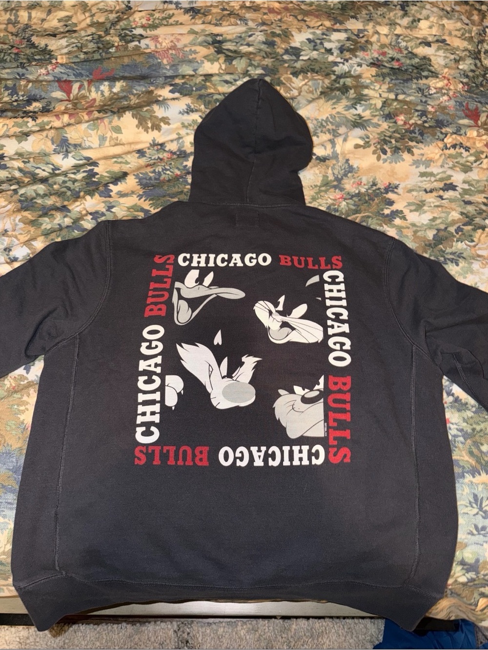 Chicago Bulls Looney Tunes Hoodie
